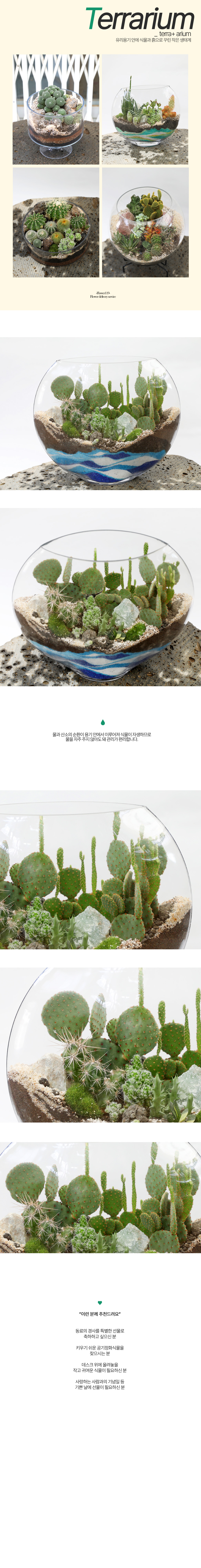  ȿ   - Ƹ ׶󸮿 Ư()  ɹ