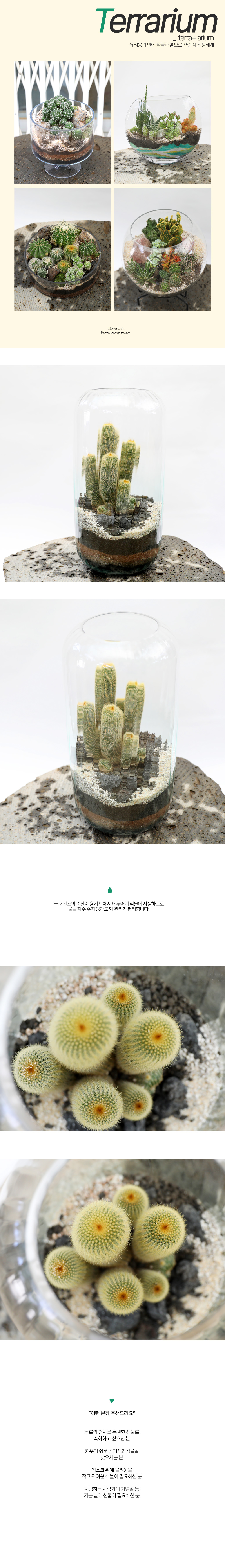  ȿ   -  ׶󸮿 (Ȳȯ)  ɹ