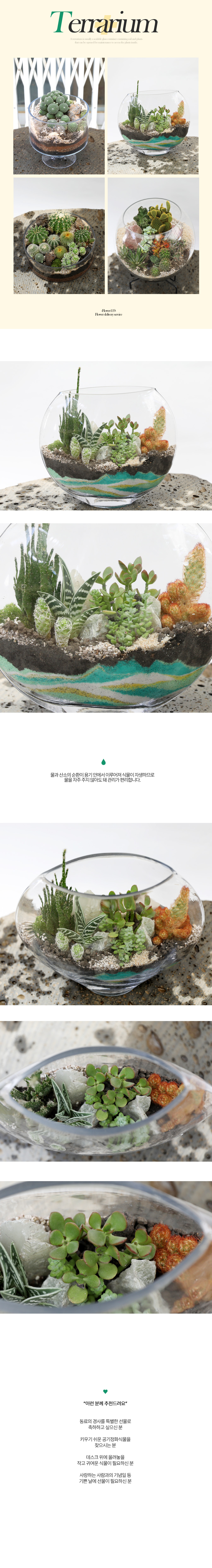  ȿ   - ׶󸮿(a20)  ɹ