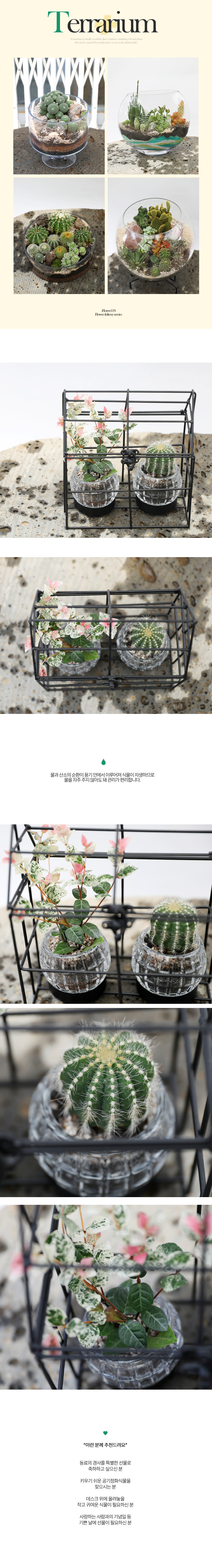  ȿ   - ﰢö ׶󸮿  ɹ