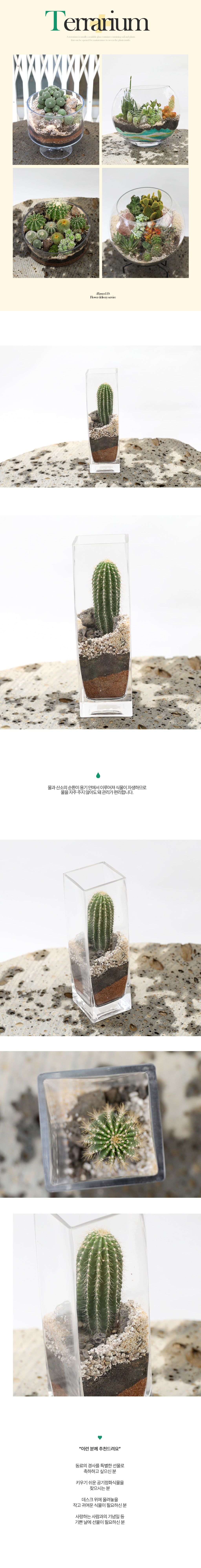  ȿ   -  ׶󸮿簢()  ɹ