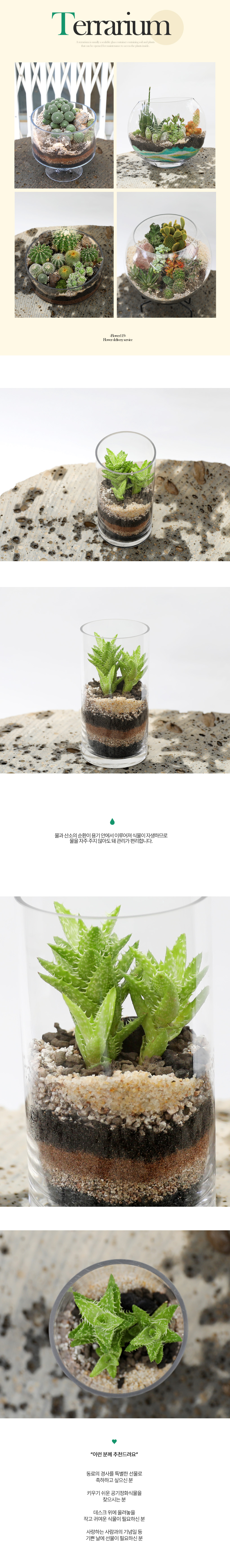  ȿ   -  ׶󸮿()  ɹ