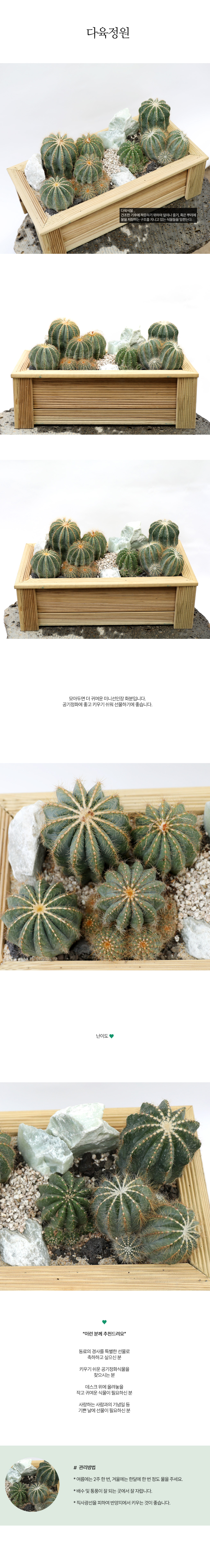 °ø±âÁ¤È½Ä¹° - ³ª¹«»óÀÚ¸ðµë ¼±ÀÎÀå(¸¶±×´ÏÇÇÄ«ÆÄ·Îµð¾Æ¼±ÀÎÀå)