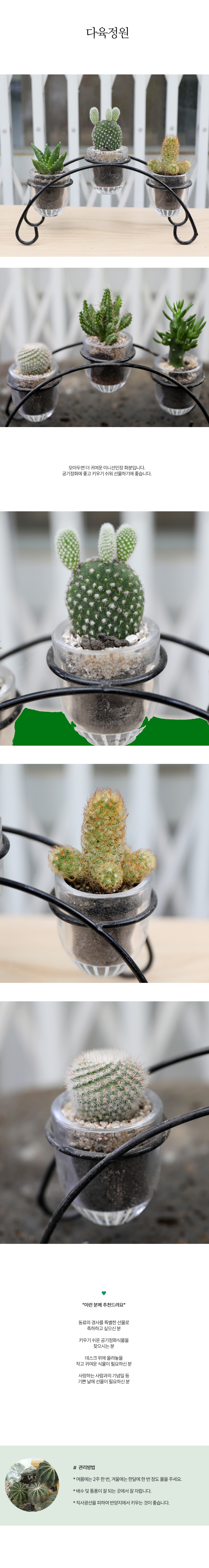 °ø±âÁ¤È½Ä¹° - ±¸¸§´Ù¸® ´ÙÀ°Á¤¿ø(´ÙÀ°º¯°æµÉ¼öÀÖÀ½)