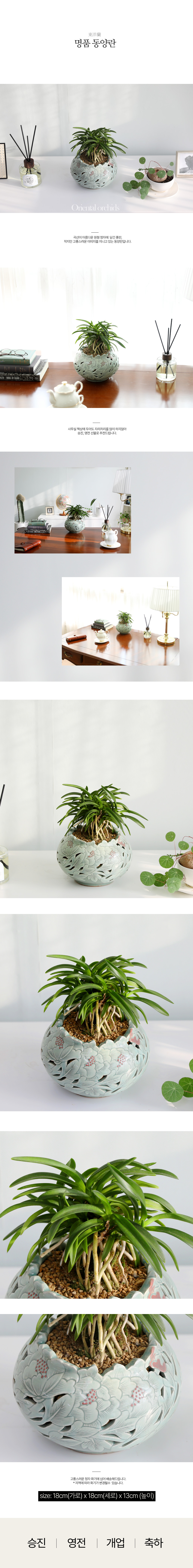 [ǹ] Ưֹ    ޵ڱȭ - ǰ  ǳ