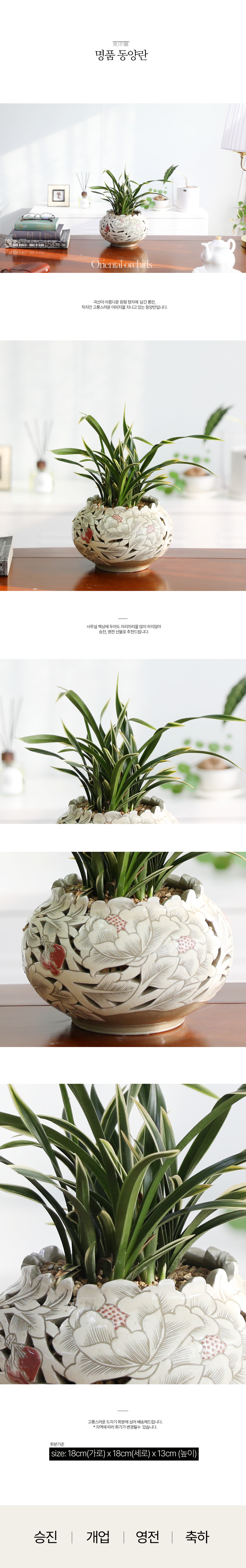 [ǹ] Ưֹ    ޵ڱȭ  - ǰ  û  ɹ