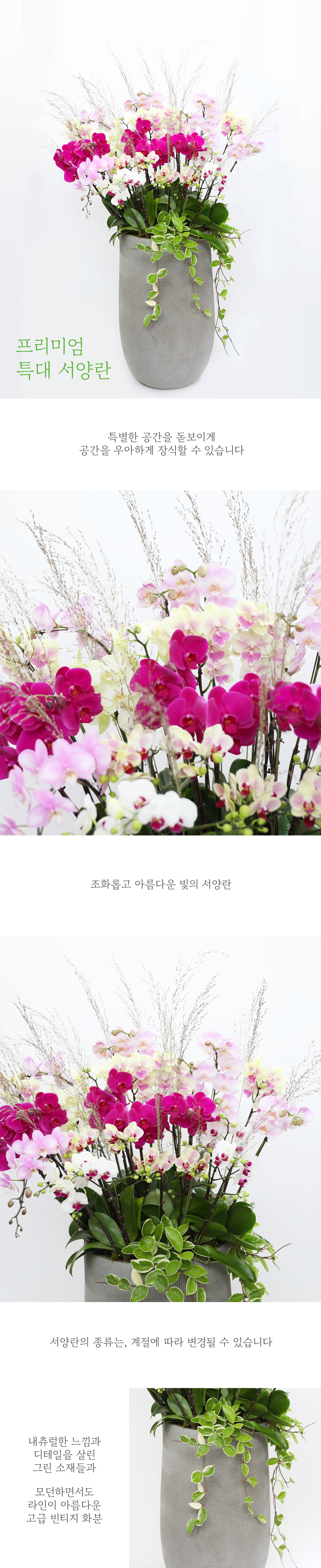 [] Ưֹ  ̾    - ȥ (     ֽϴ)  ɹ