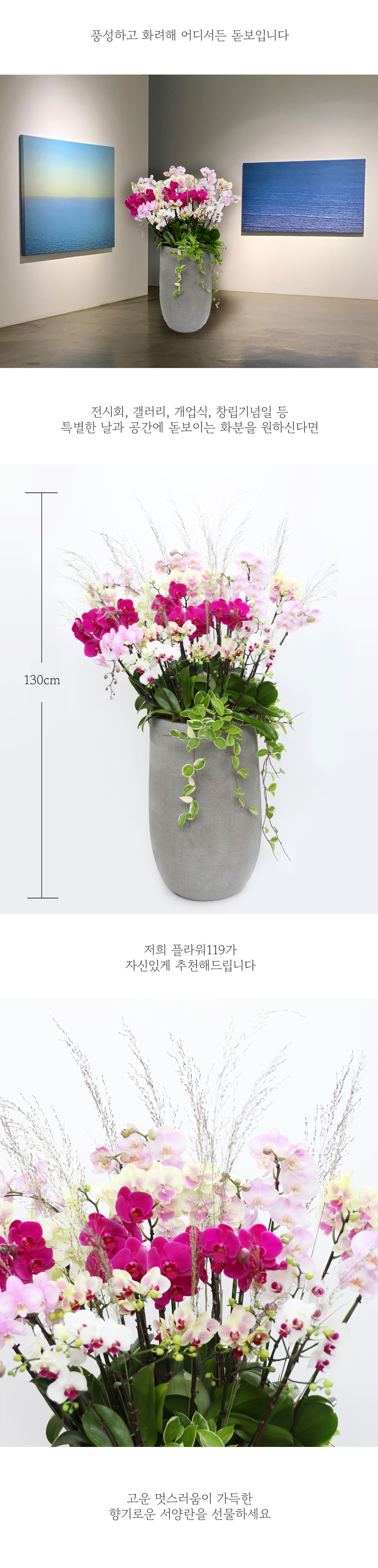 [] Ưֹ  ̾    - ȥ (     ֽϴ)  ɹ