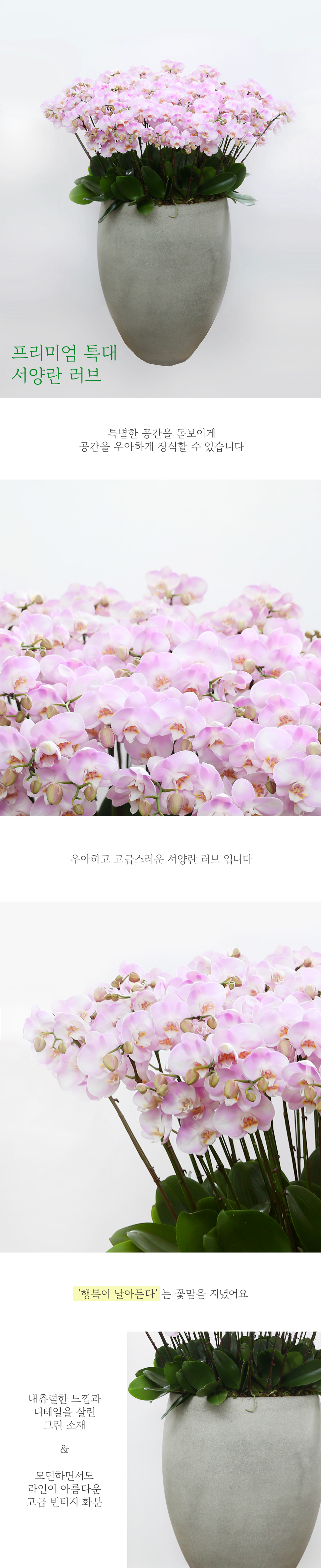 [] Ưֹ  ̾   - (Love)  ɹ