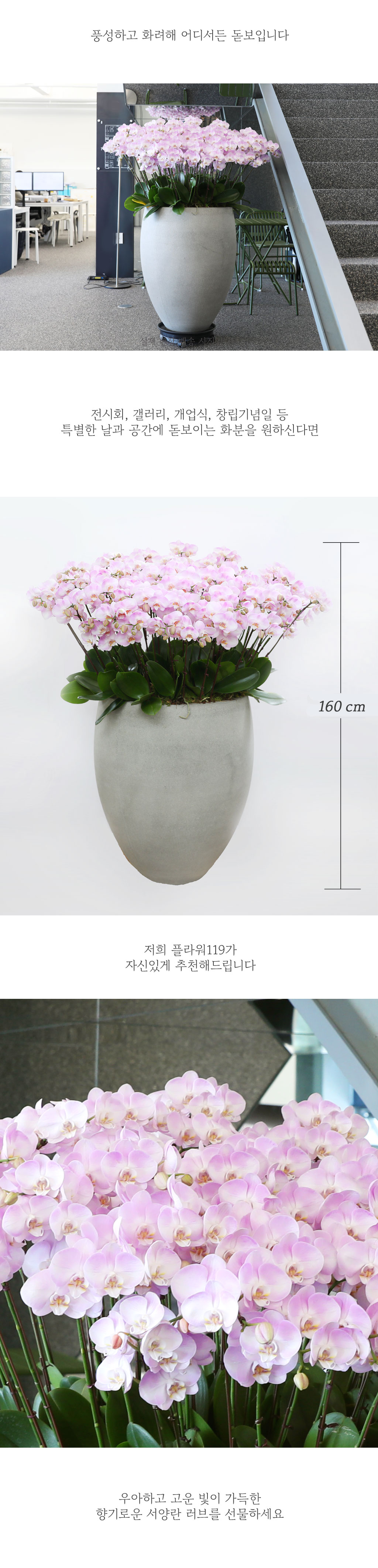 [] Ưֹ  ̾   - (Love)  ɹ