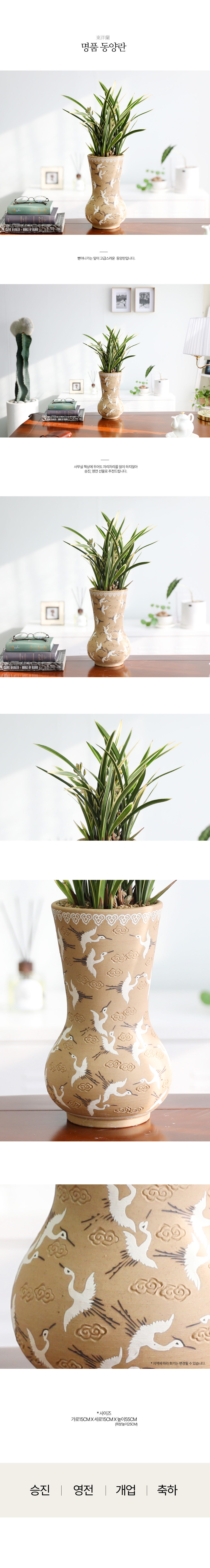 [ǹ]  Ưֹ    ޵ڱȭ  - Ȳ  ɹ