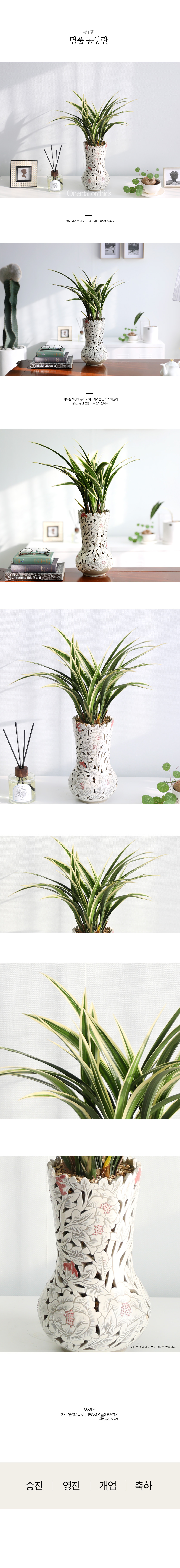 [ǹ]  ڱȭ  - ǰ    ɹ