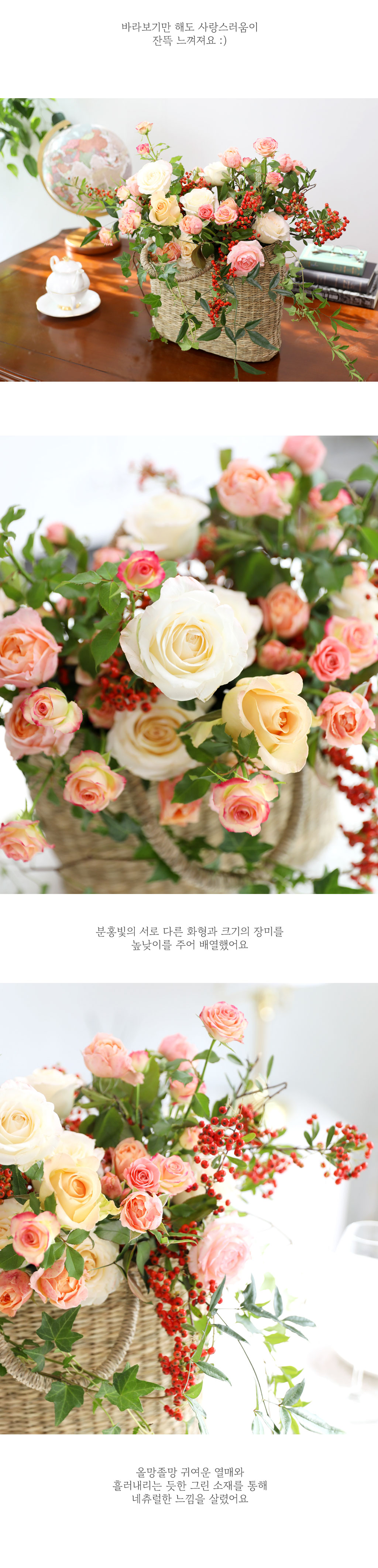 Let's go Picnic -   ũ  ɹ