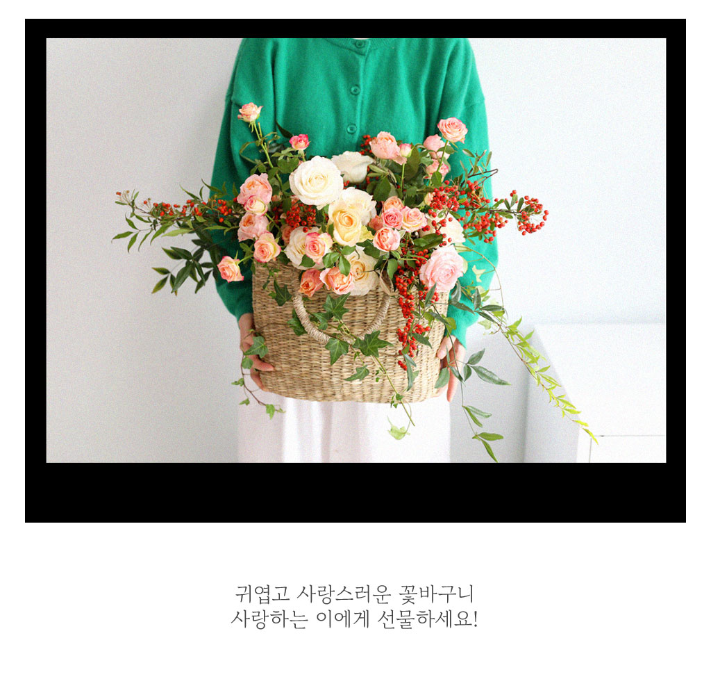 Let's go Picnic -   ũ  ɹ