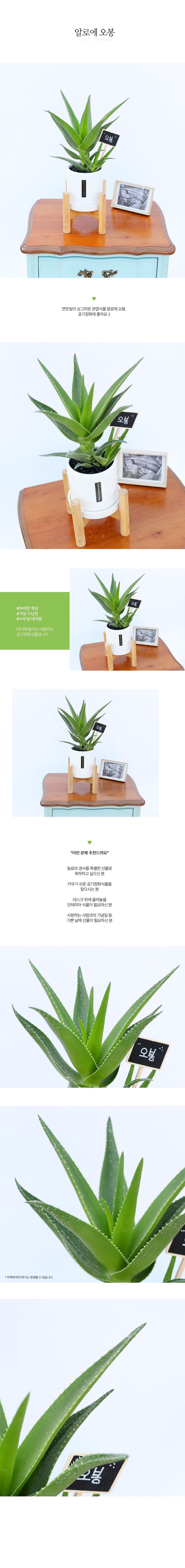 [ȭ]   λ  - ˷ο   ɹ