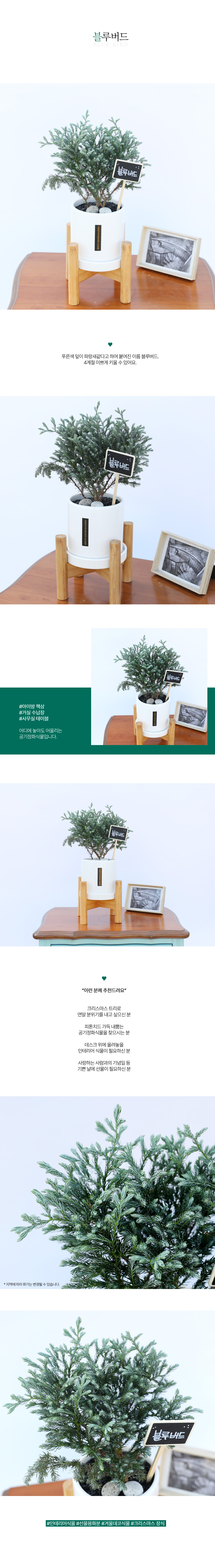 [ȭ] ġ   (Blue bird)  ɹ