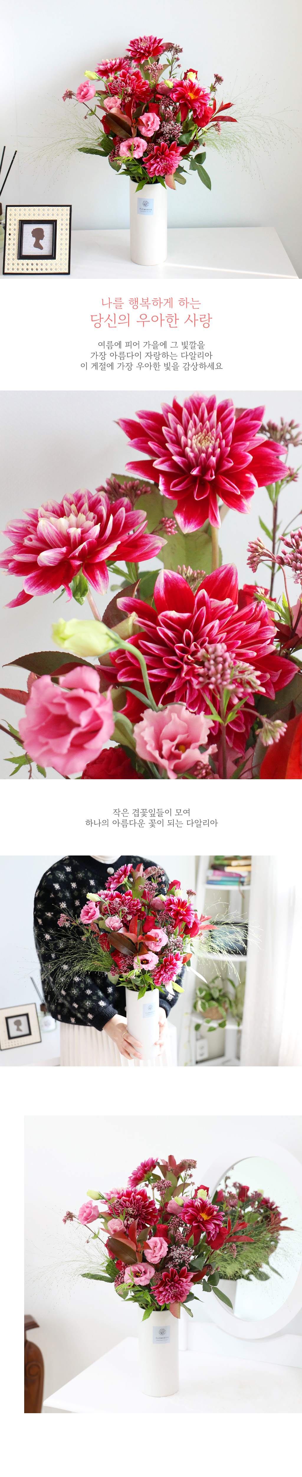 [/ǹ] ູϰ ϴ     ɹ