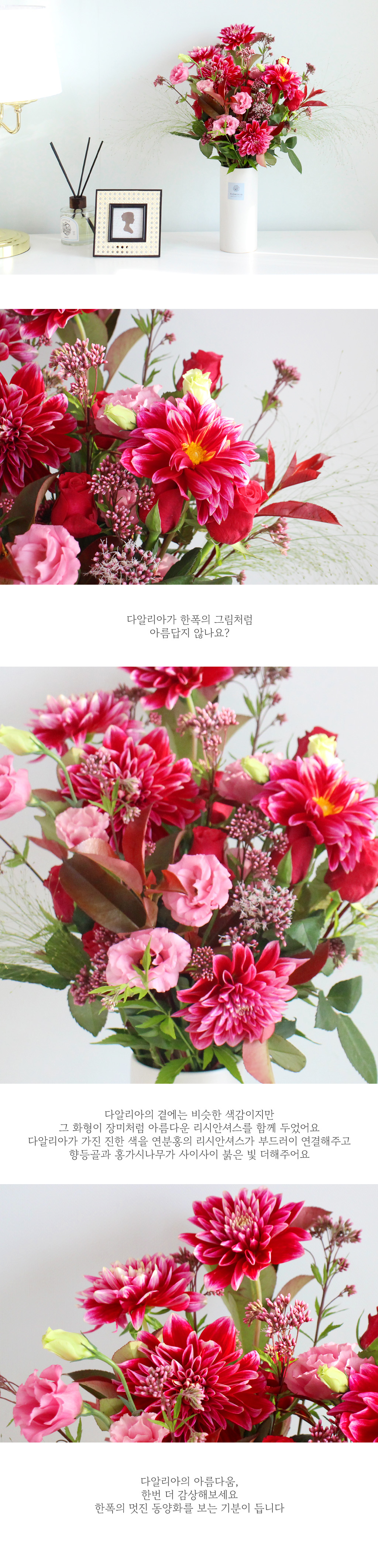 [/ǹ] ູϰ ϴ     ɹ