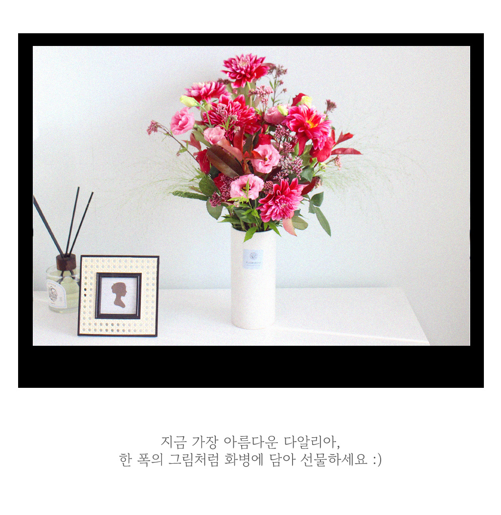 [/ǹ] ູϰ ϴ     ɹ