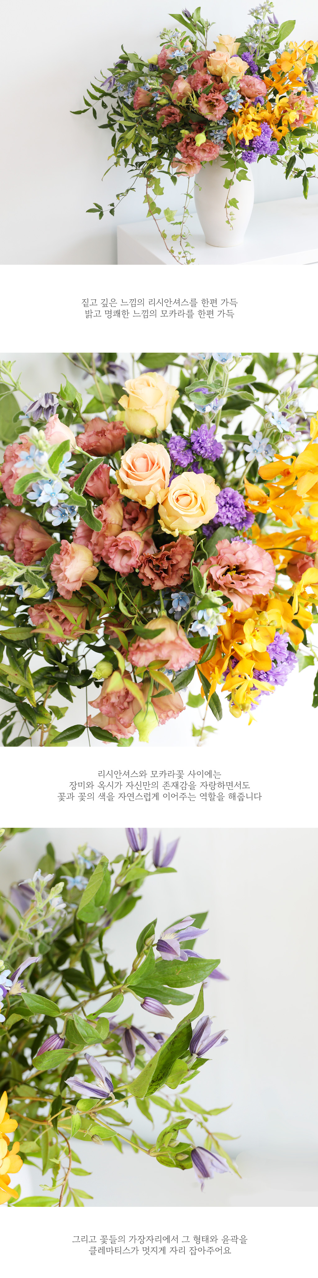 ±× °èÀýÀÇ ¹Ù¶÷  - ²É³ª¹« ¾Æ·¡¿¡¼ ²ÉÁý ²É¹è´Þ