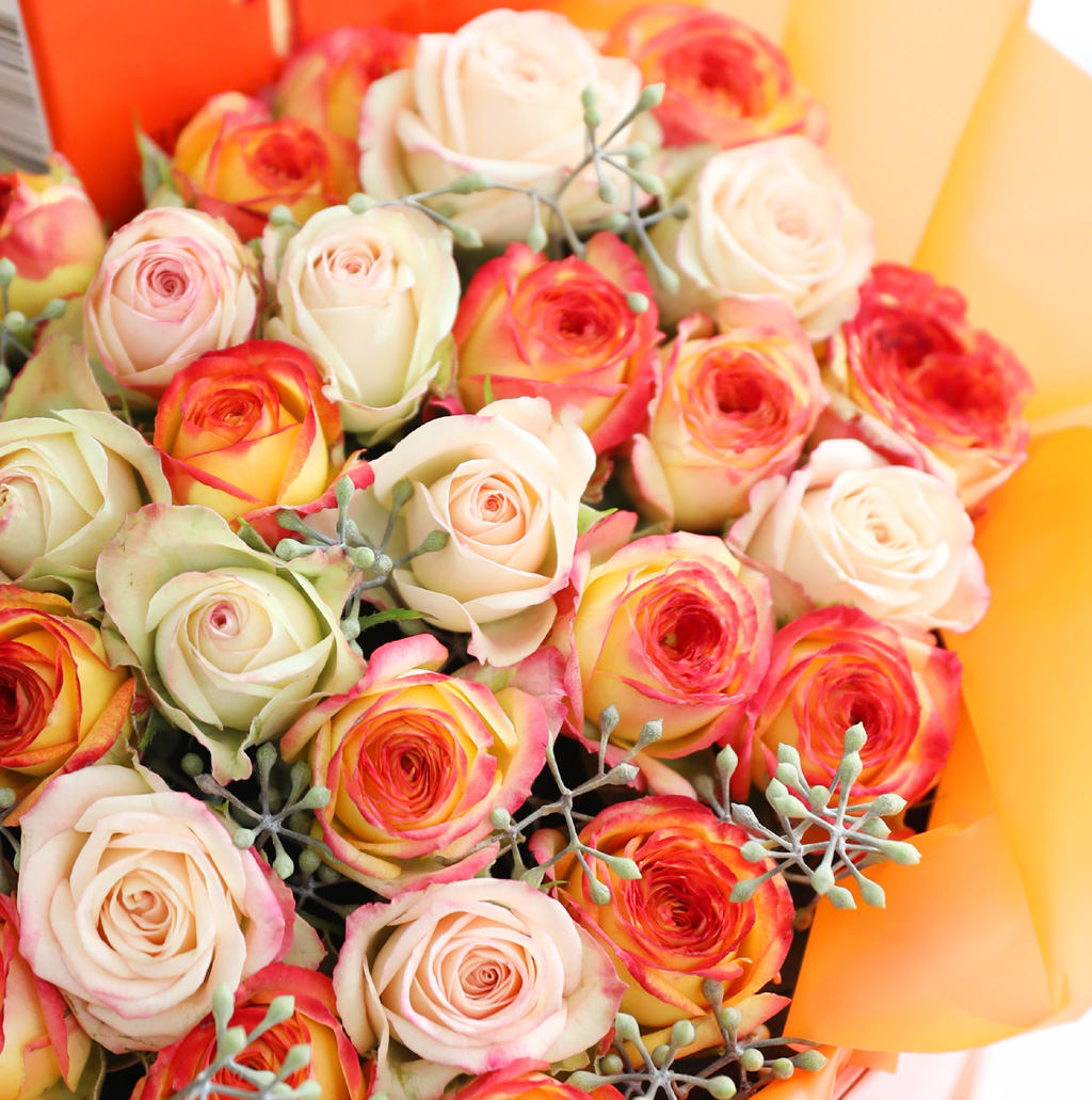 [ε] Tangerine flowerbox -   öڽ