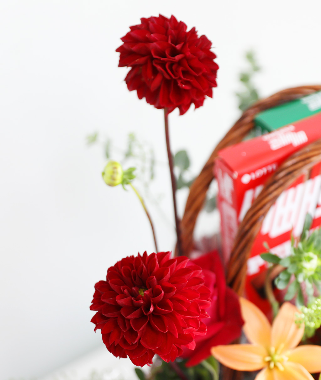 [ε] Fruits candy -  ĵ ö ٽ