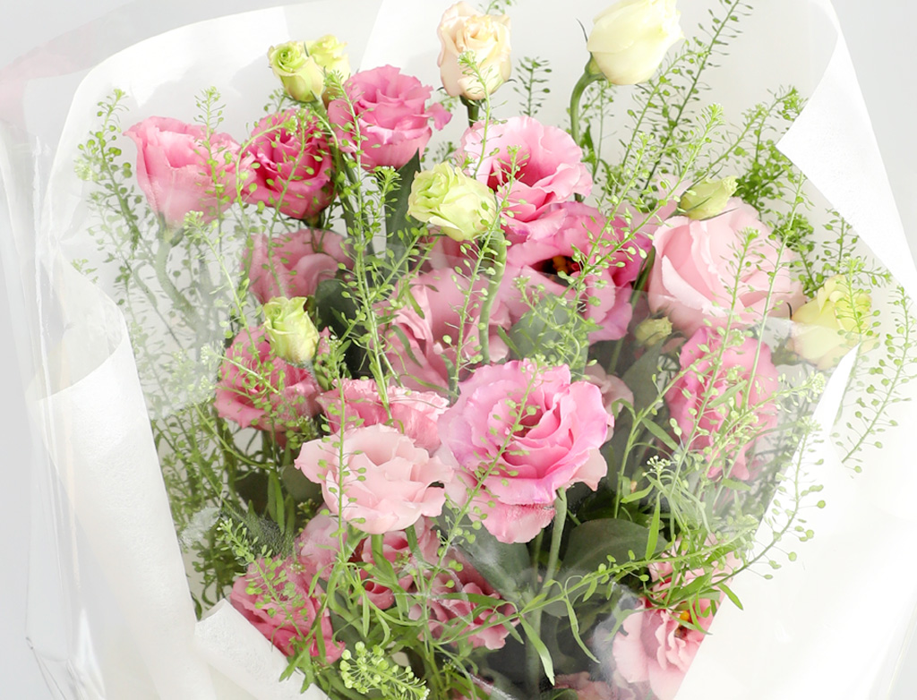 [ε][/] Lovely day -  ɴٹ  ɹ