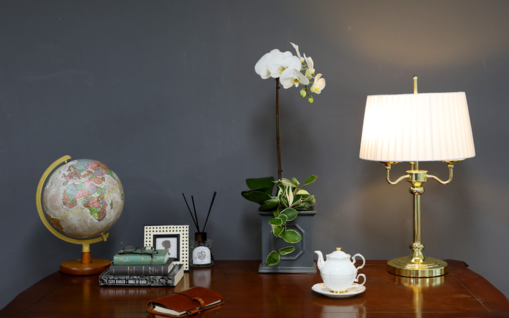 [/] White Elegant Orchid  