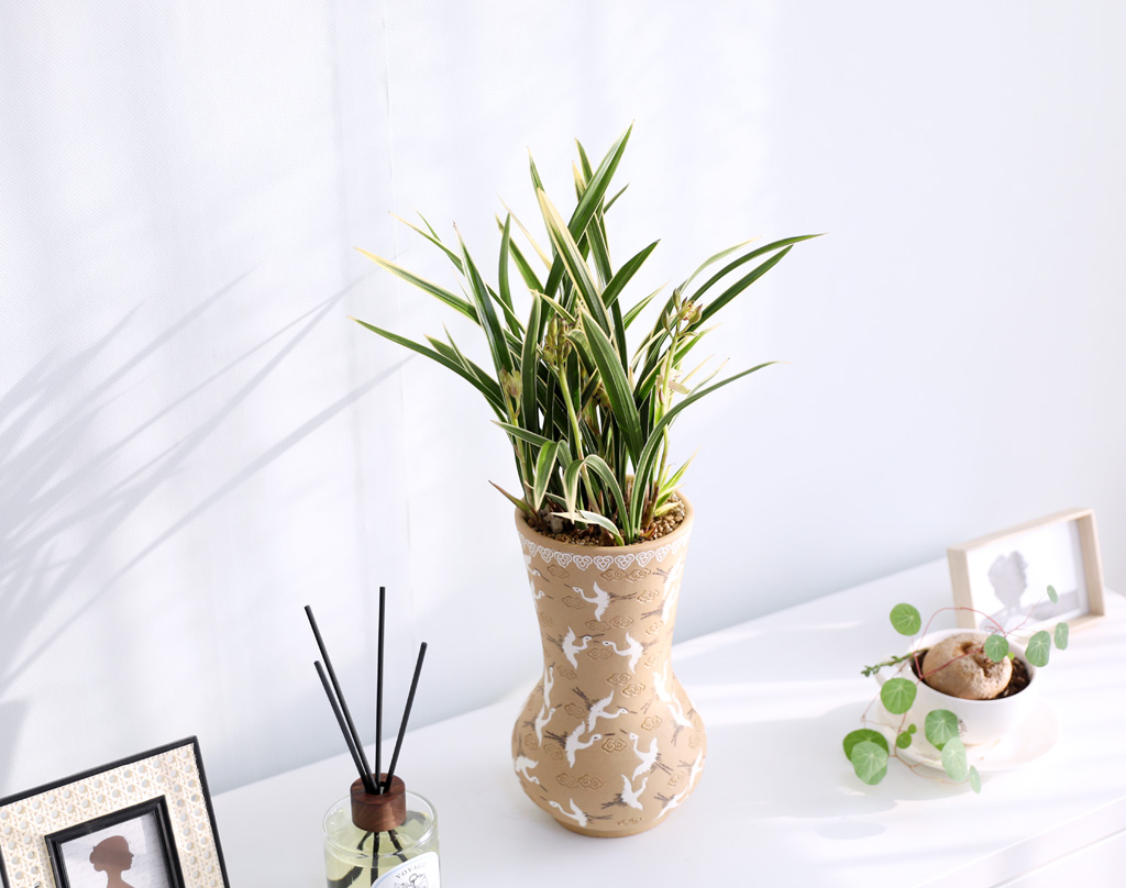 [ǹ] Ưֹ    ޵ڱȭ  - ǰ  Ȳ(3)