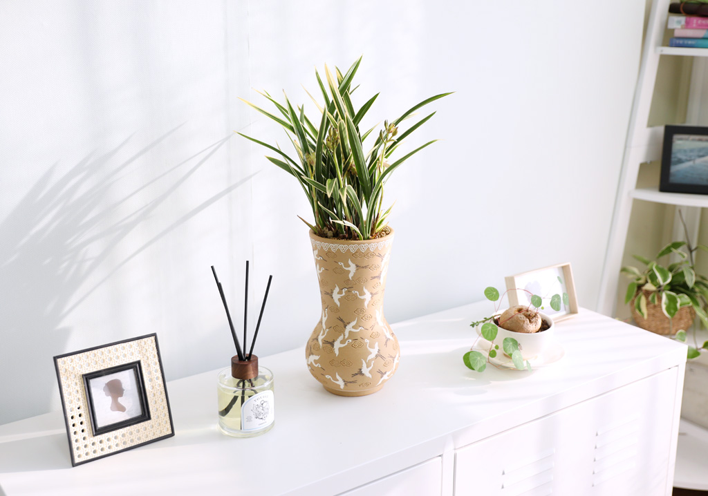 [ǹ] Ưֹ    ޵ڱȭ  - ǰ  Ȳ(3)