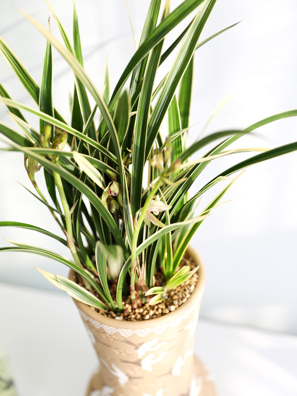 [ǹ] Ưֹ    ޵ڱȭ  - ǰ  Ȳ(3)