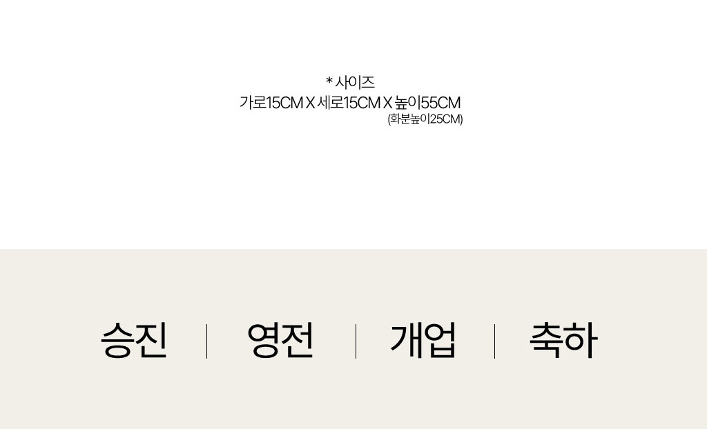 [ǹ] Ưֹ    ޵ڱȭ  - ǰ  Ȳ(3)