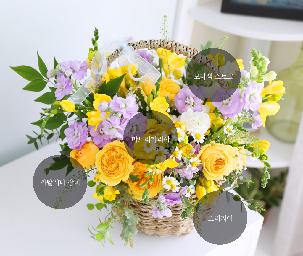 Scent of spring - ÷   ɹٱ  ɹ