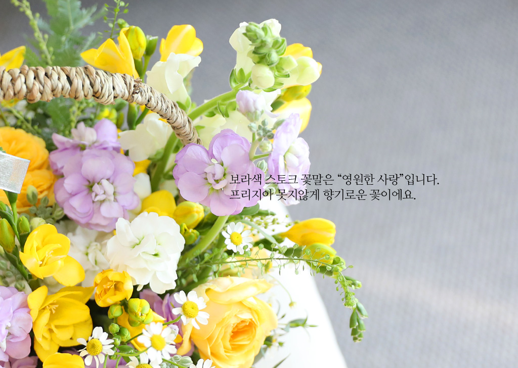 Scent of spring - ÷   ɹٱ  ɹ