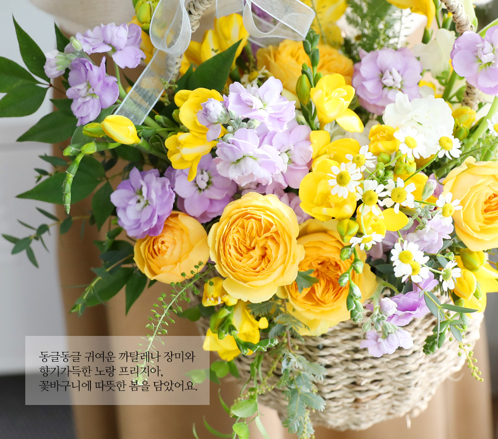 Scent of spring - ÷   ɹٱ  ɹ