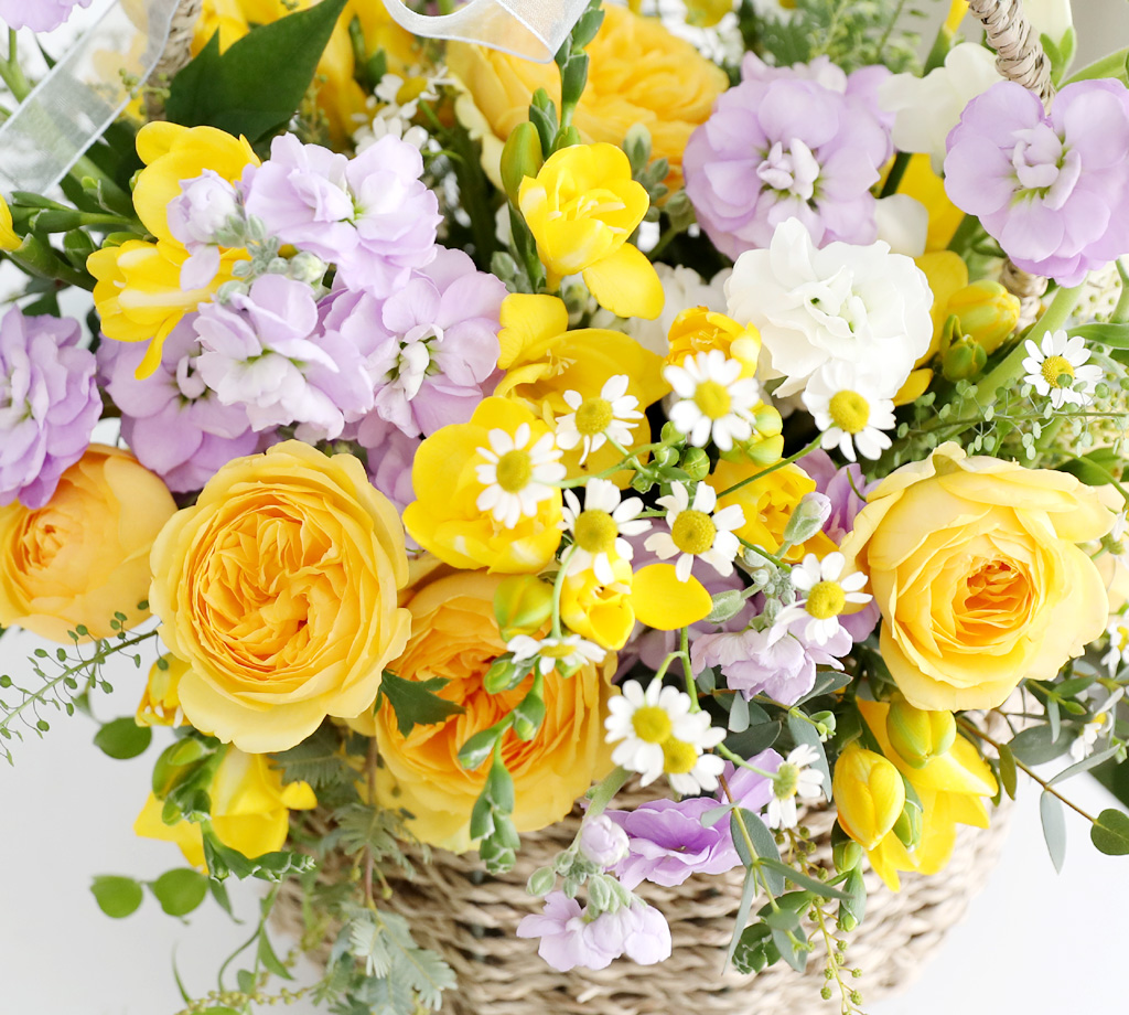 Scent of spring - ÷   ɹٱ  ɹ