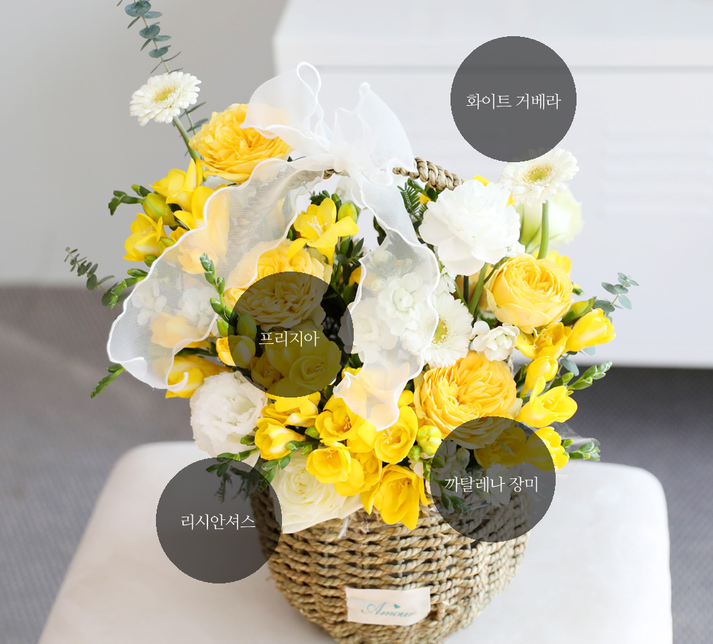 Scent of spring - ¸£¸ùµå ÇÁ¸®Áö¾Æ Çöó¿ö¹Ù½ºÄÏ ²ÉÁý ²É¹è´Þ