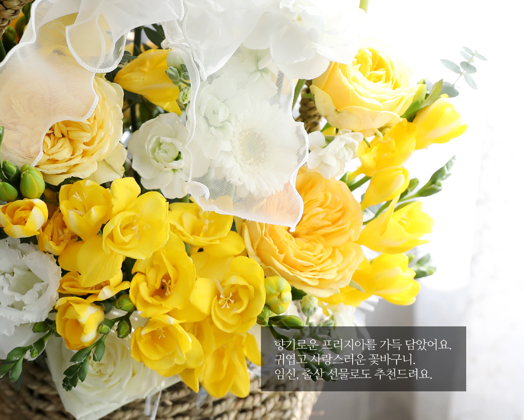 Scent of spring - ¸£¸ùµå ÇÁ¸®Áö¾Æ Çöó¿ö¹Ù½ºÄÏ ²ÉÁý ²É¹è´Þ
