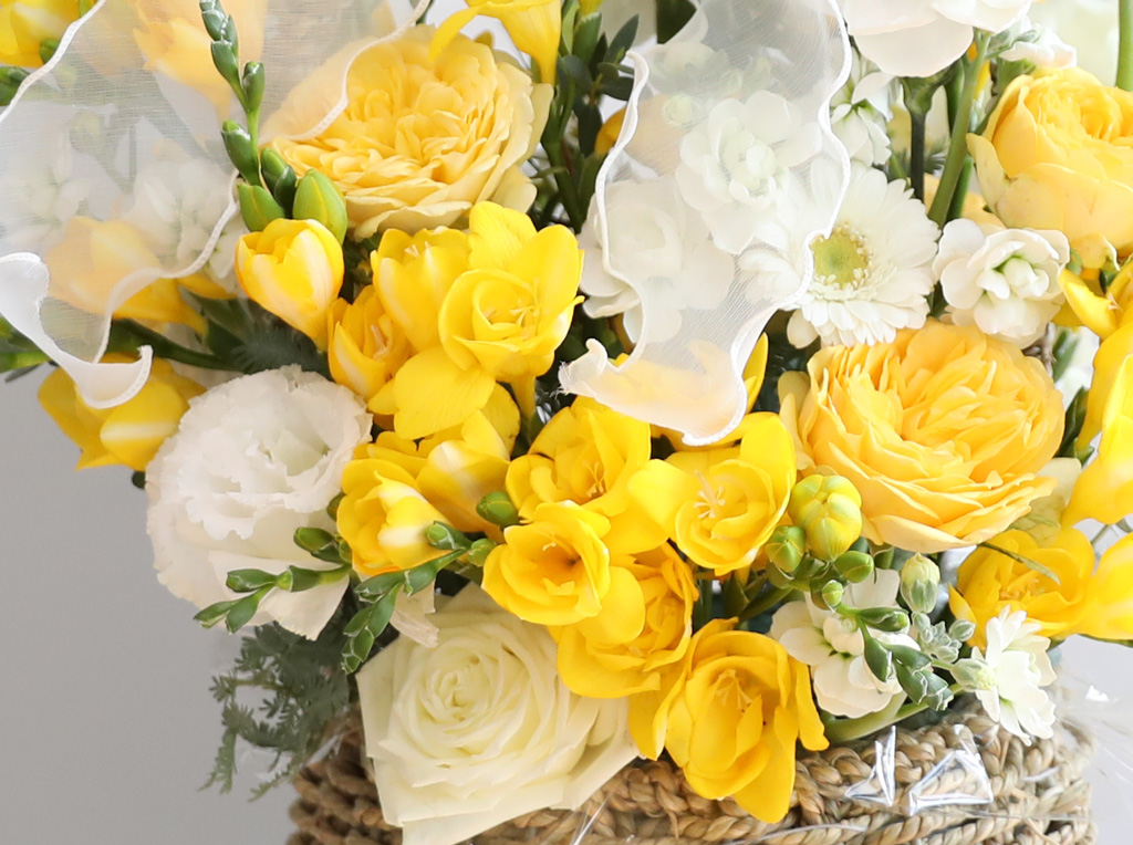 Scent of spring - ¸£¸ùµå ÇÁ¸®Áö¾Æ Çöó¿ö¹Ù½ºÄÏ ²ÉÁý ²É¹è´Þ