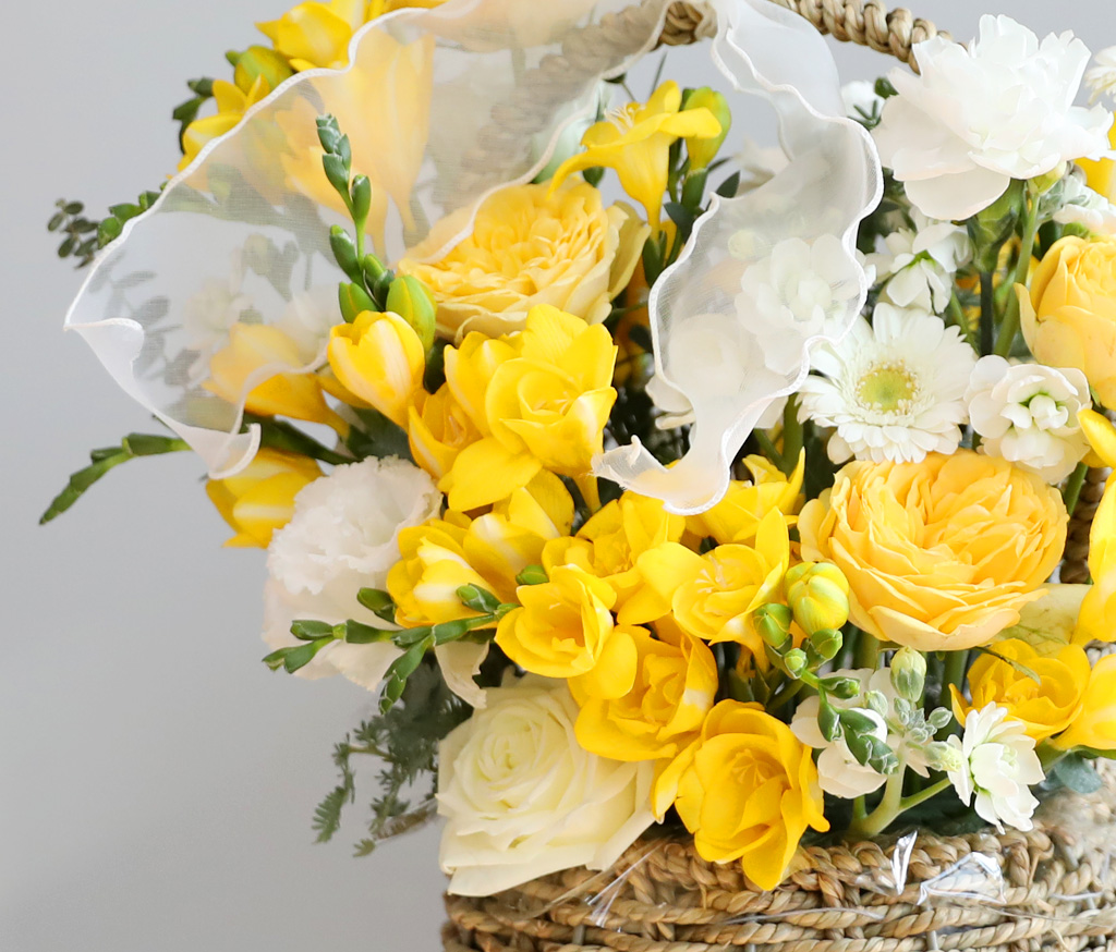 Scent of spring - ¸£¸ùµå ÇÁ¸®Áö¾Æ Çöó¿ö¹Ù½ºÄÏ ²ÉÁý ²É¹è´Þ