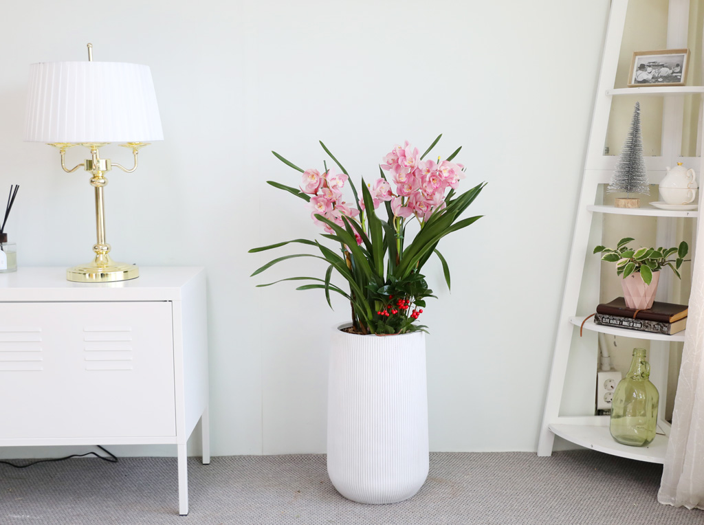 [����/��������] ȭ��Ʈ ȭ�⿡ ��� ���� ����� ��ũ �ɺ���(E) ���� �ɹ��