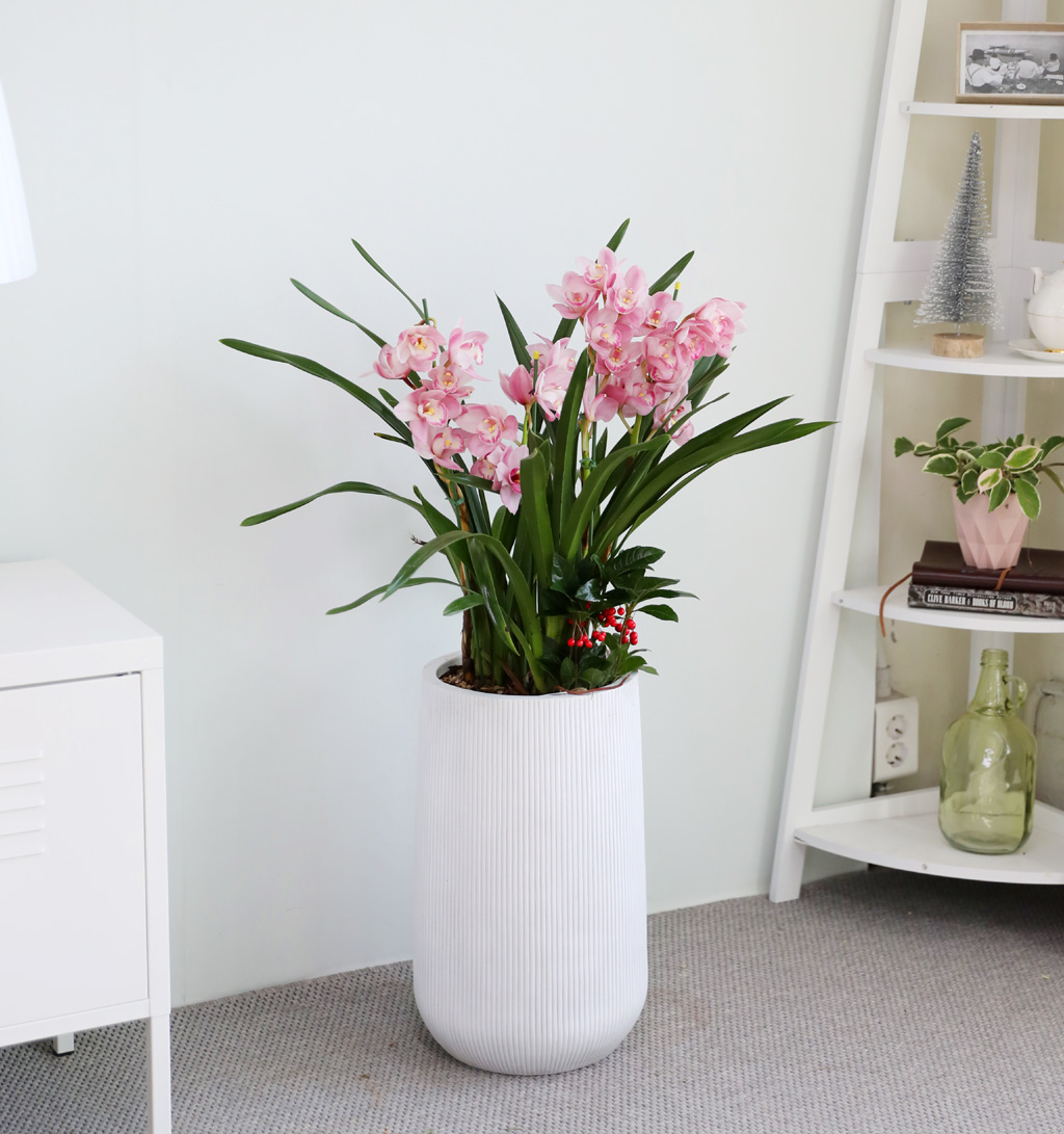 [����/��������] ȭ��Ʈ ȭ�⿡ ��� ���� ����� ��ũ �ɺ���(E) ���� �ɹ��