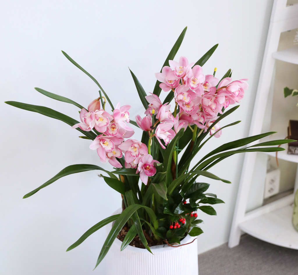 [����/��������] ȭ��Ʈ ȭ�⿡ ��� ���� ����� ��ũ �ɺ���(E) ���� �ɹ��