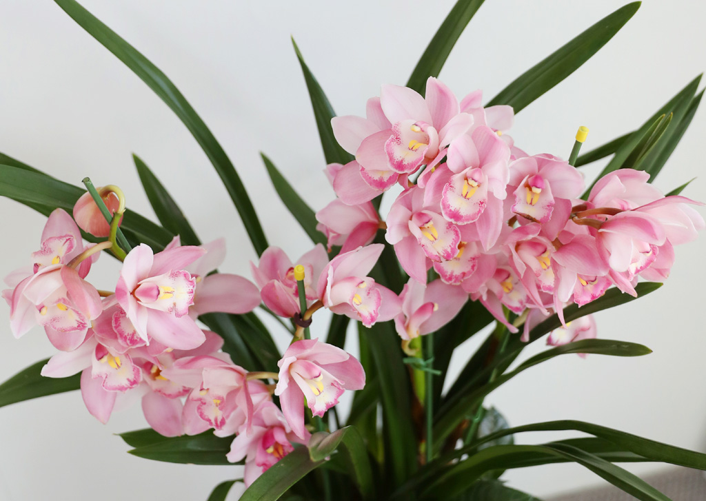 [����/��������] ȭ��Ʈ ȭ�⿡ ��� ���� ����� ��ũ �ɺ���(E) ���� �ɹ��