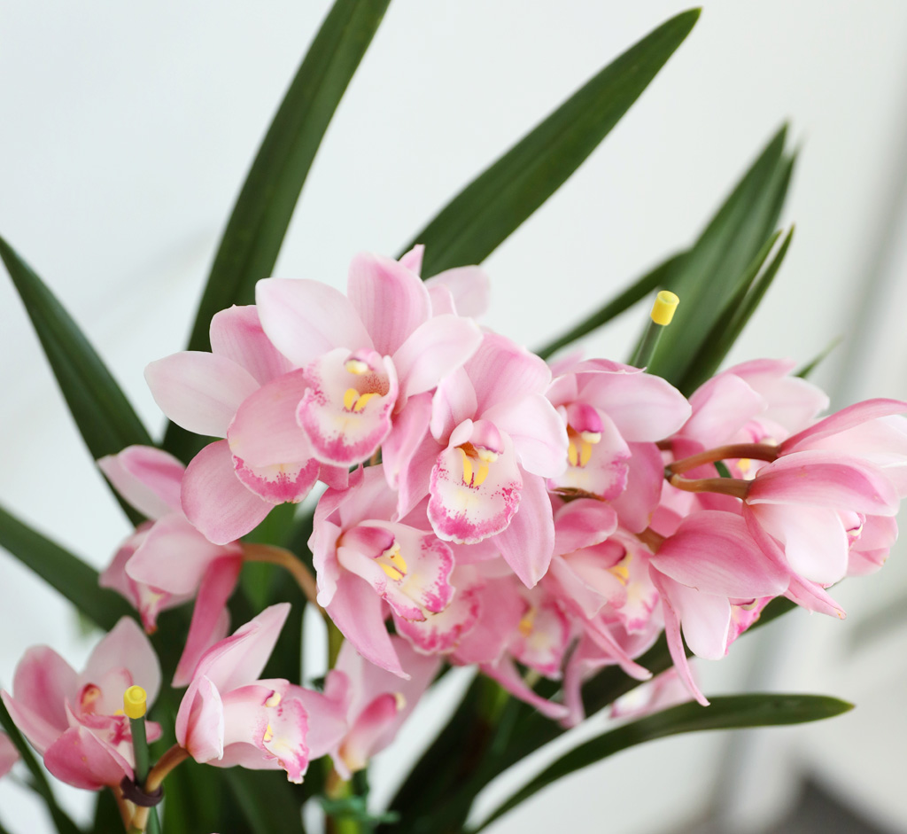 [����/��������] ȭ��Ʈ ȭ�⿡ ��� ���� ����� ��ũ �ɺ���(E) ���� �ɹ��