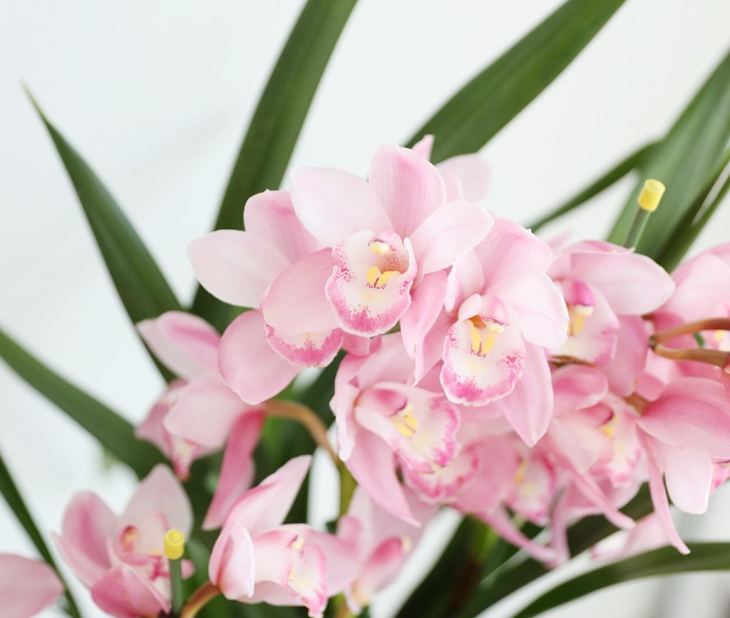 [����/��������] ȭ��Ʈ ȭ�⿡ ��� ���� ����� ��ũ �ɺ���(E) ���� �ɹ��