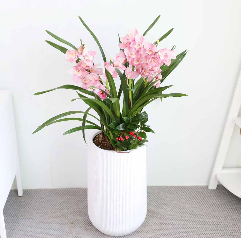 [����/��������] ȭ��Ʈ ȭ�⿡ ��� ���� ����� ��ũ �ɺ���(E) ���� �ɹ��