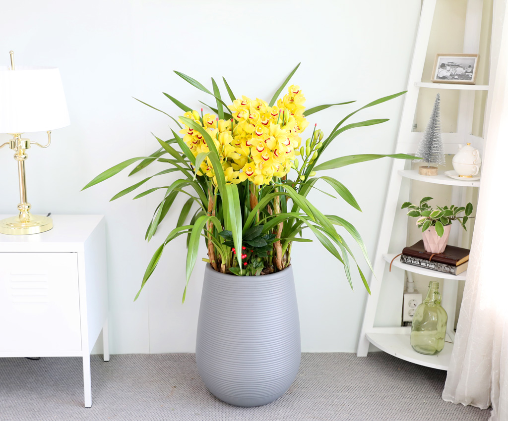 [ܿ λ̵ õ]  ɺ ()  ɹ