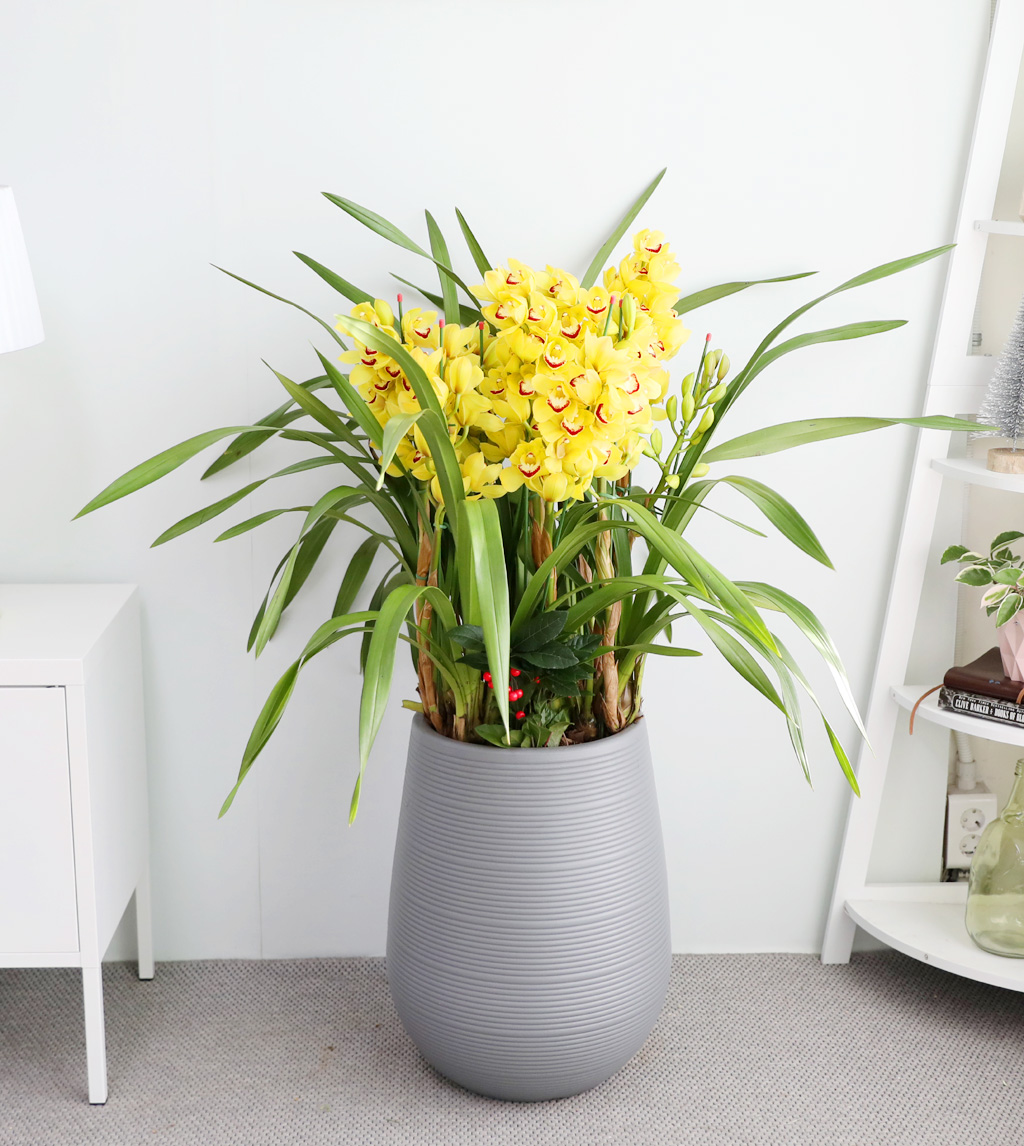 [ܿ λ̵ õ]  ɺ ()  ɹ