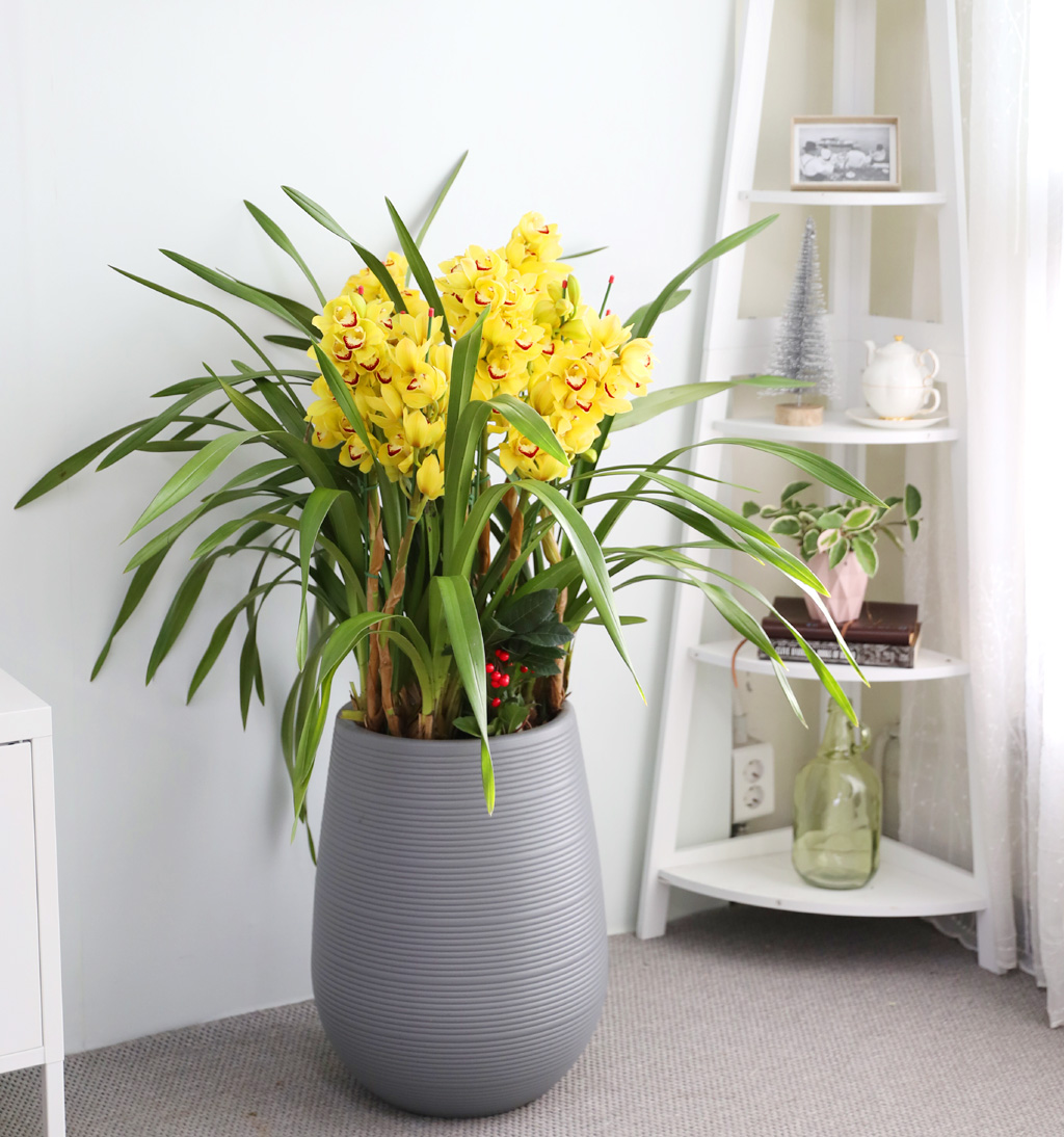 [ܿ λ̵ õ]  ɺ ()  ɹ